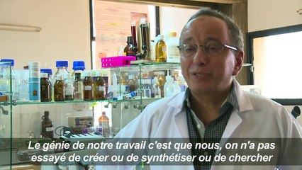 Au Maroc, des antibiotiques "dopés" aux huiles essentielles