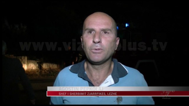 Lezhë, zjarri pushton malin - News, Lajme - Vizion Plus
