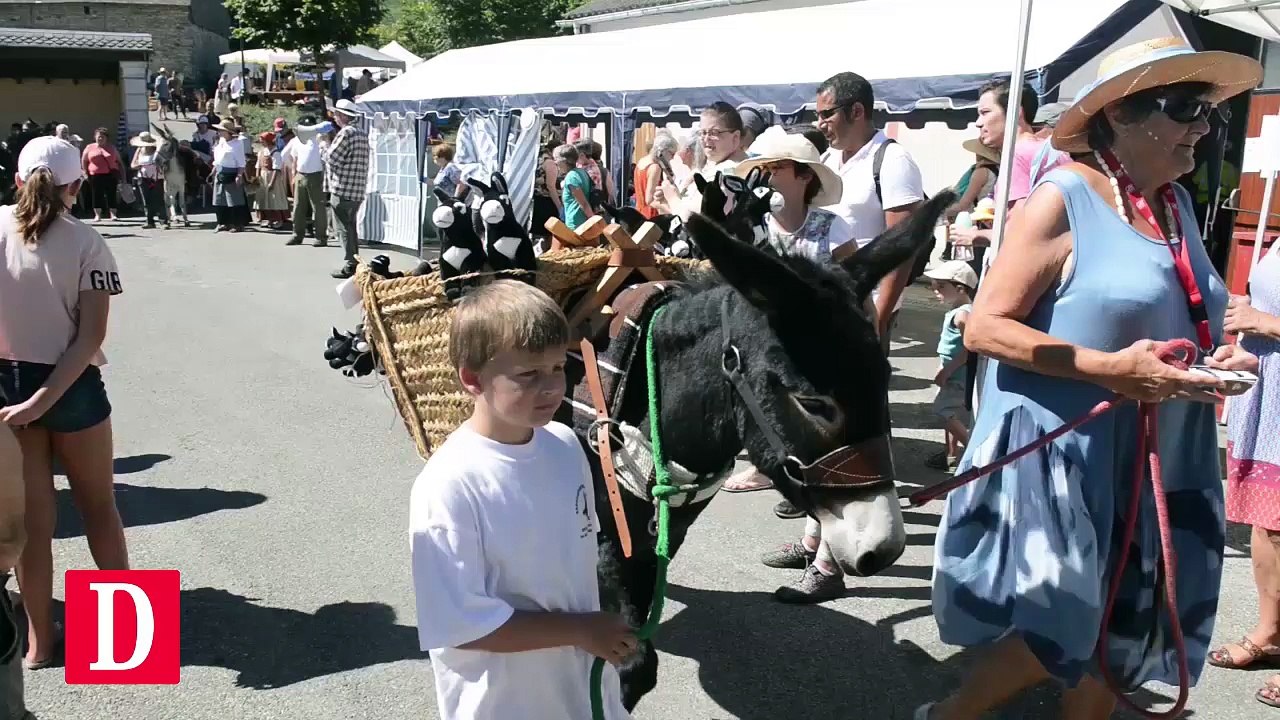 Fête de l'âne à Labassere