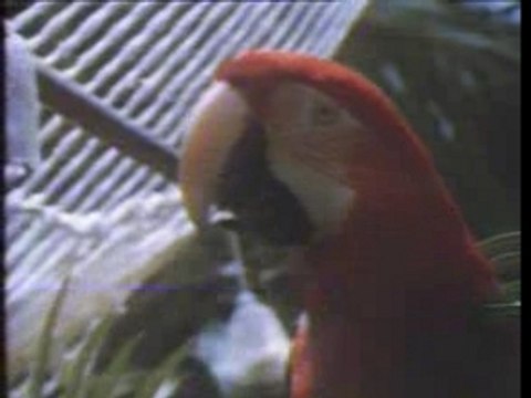 FR3 generique pub annee 84+page pub complete