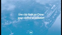 Une cité-forêt en Chine pour contrer la pollution
