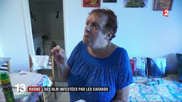 Je vis dehors : dans le Rhône, la colère des habitants d'un immeuble infesté par des cafards et des punaises de lit