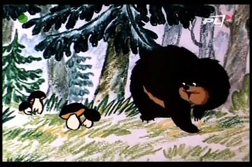 Kangurek Hip Hop - Niedźwiedź (3)