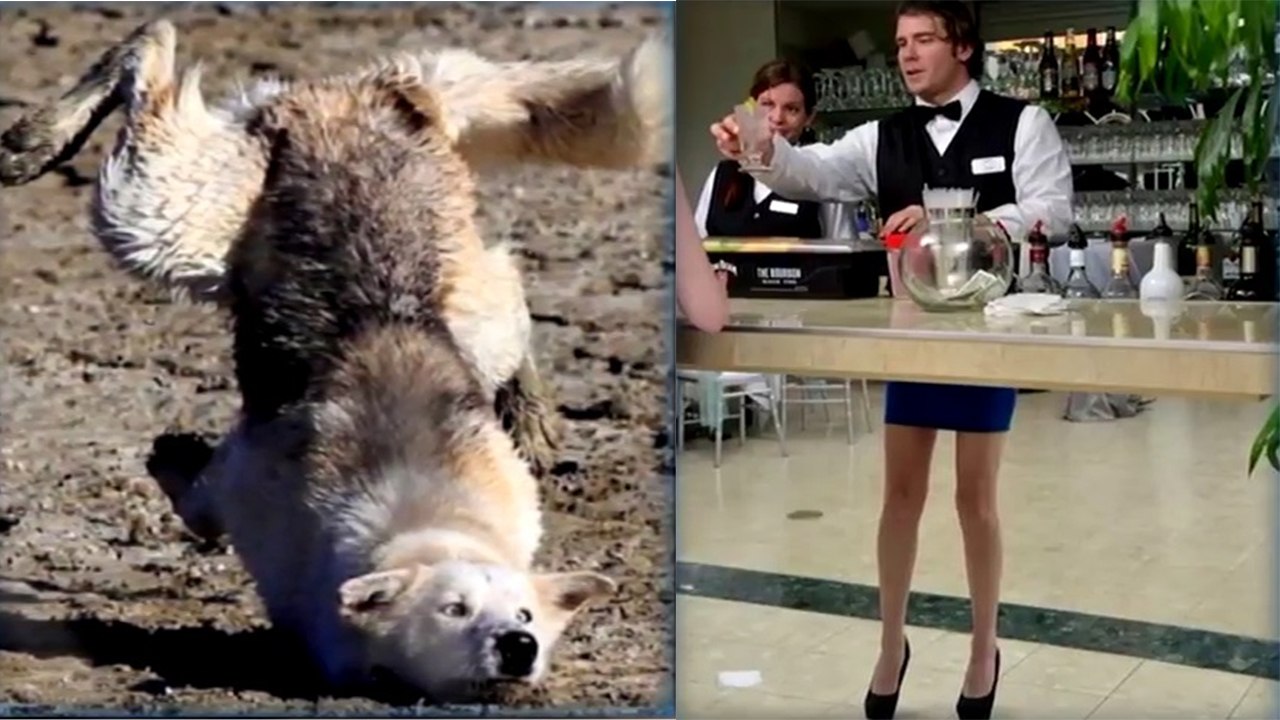 10+ Silly Photos Taken At The Right Moment