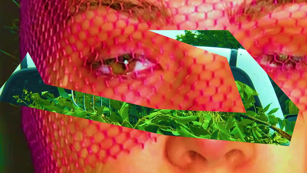 example of video