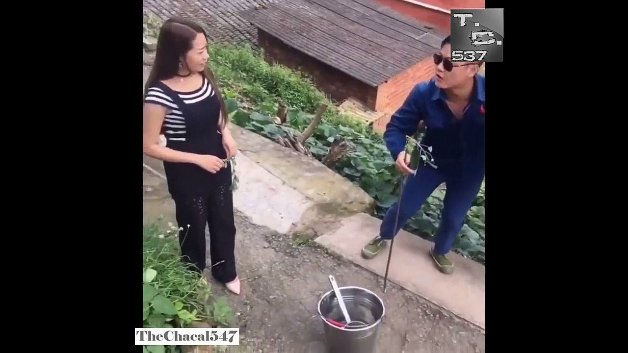 Videos graciosos - videos de risa '17