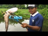 Amazing Man Uses PVC Pipe Compound BowFishing To Shoot Huge Fish -Khmer Fishing At Siem Reap