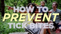 How to Prevent Tick Bites