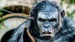 Top 10 Planet of The Apes Reboot Facts