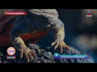 El Pinacate en Sonora, el desierto más biodiverso del mundo | Sale el Sol