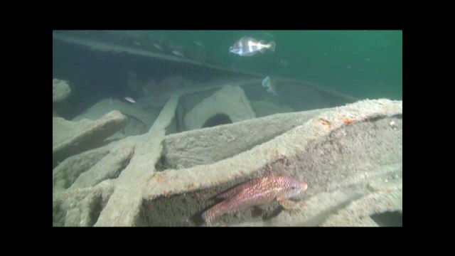 Épaves. Il y a 100 ans, le naufrage du cuirassé Kléber