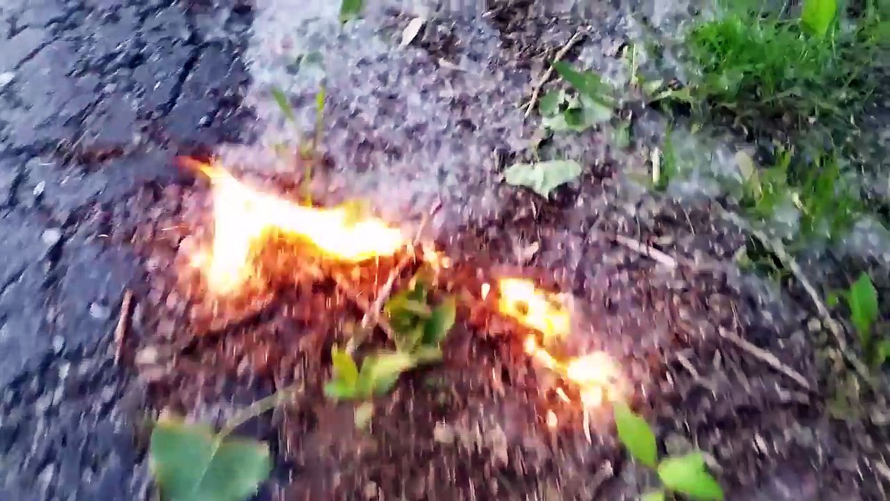 The Most Oddly Satisfying Video