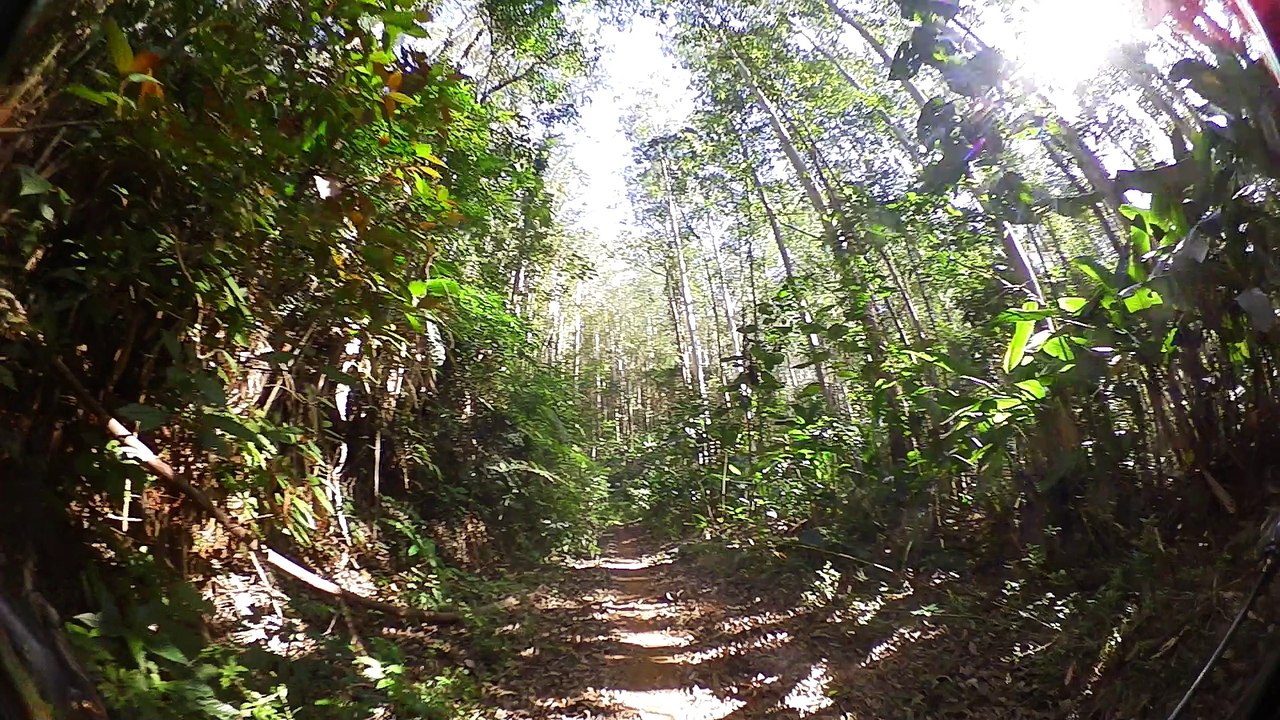 Teste, shimano, 180 graus, Shimano, CM-1000, Trilhas, Mtb. Btt, .vamos pedalar