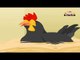 Kokkoroko Kodi (Chick Chick Chicken) - Telugu Nusery Rhyme with Sing Along