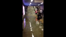 İstanbul'daki yağışın en çok izlenen 3 videosu