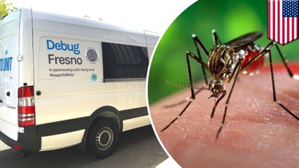 Google's life sciences arm to release good mosquitoes in Fresno
