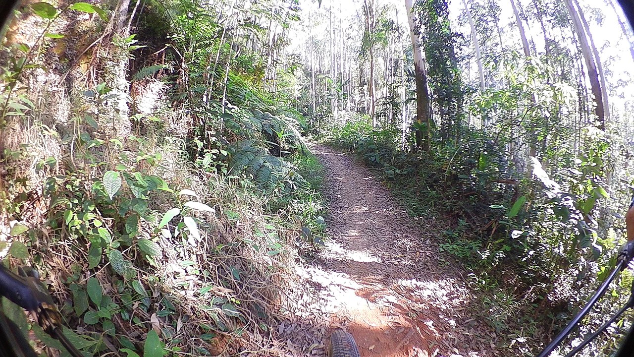 Teste, shimano, 180 graus, Shimano, CM-1000, Trilhas, Mtb. Btt, .vamos pedalar