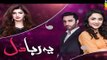 Yeh Raha Dil | Episode 22 | Full HD Video | HUM TV Drama | 17 July  2017