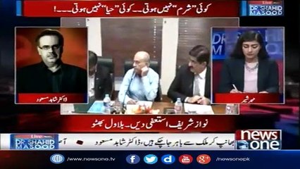 Koi Asif Zardari Se Pooch Sakta Hai Kay Ayaan Ali Kon Hai