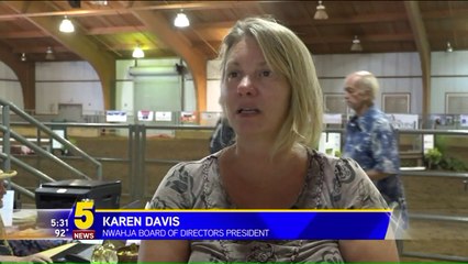 `It`s Just Fun:` Severe Injury Does Not Stop Teen Equestrian From Riding