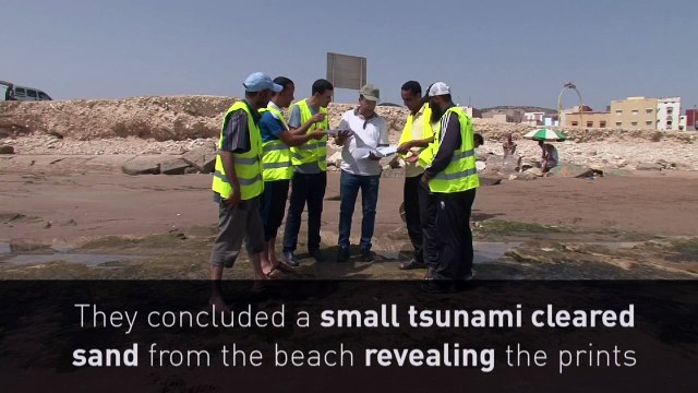 85-million-year-old dinosaur footprints found in Morocco