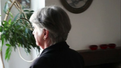 Svetlana Alpers, distance et étrangeté