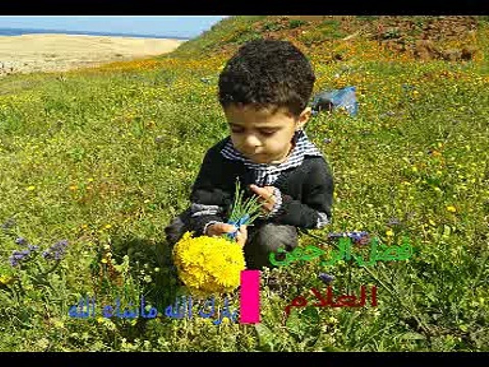 فضل الرحمن