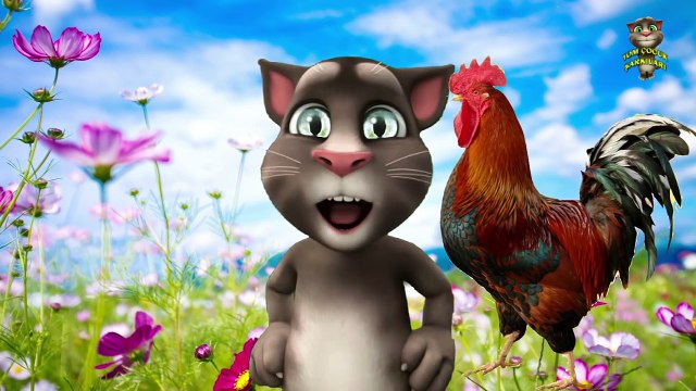 Çilli Bom Bom - Cilli Bom - Ah Çilli - Tom Kedi , Çizgi film izle 2017 & 2018