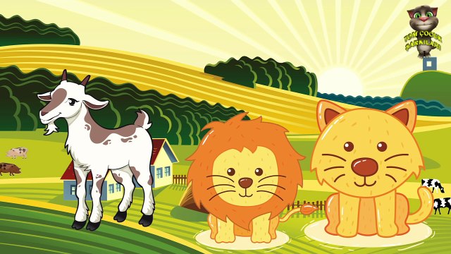 Hayvanları Öğreniyoruz - Hayvan Sesleri - Çocuklar için Hayvanlar , Çizgi film izle 2017 & 2018