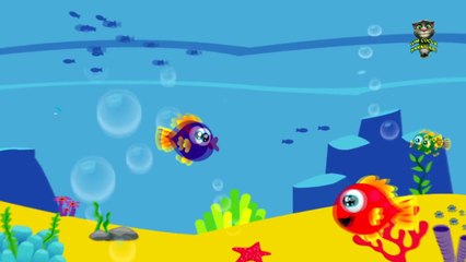 Kırmızı Balık Çocuk Şarkısı , Çizgi film izle 2017 & 2018