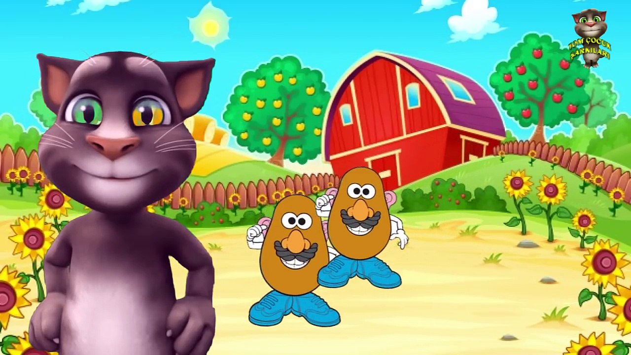 Patates Adam Çocuk Şarkısı Tom Kedi Videoları Tom Kedi , Çizgi film