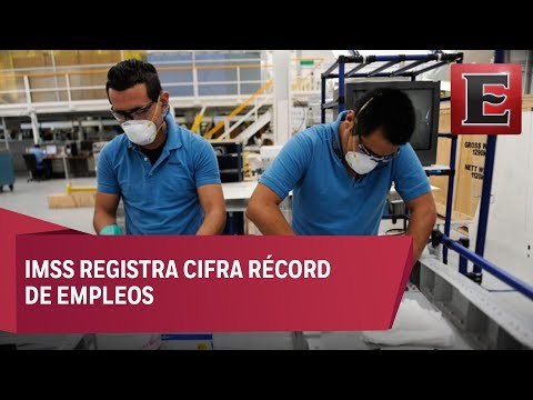 Concluir el sexenio con 20 millones de trabajadores asegurados: Tuffic Miguel Ortega