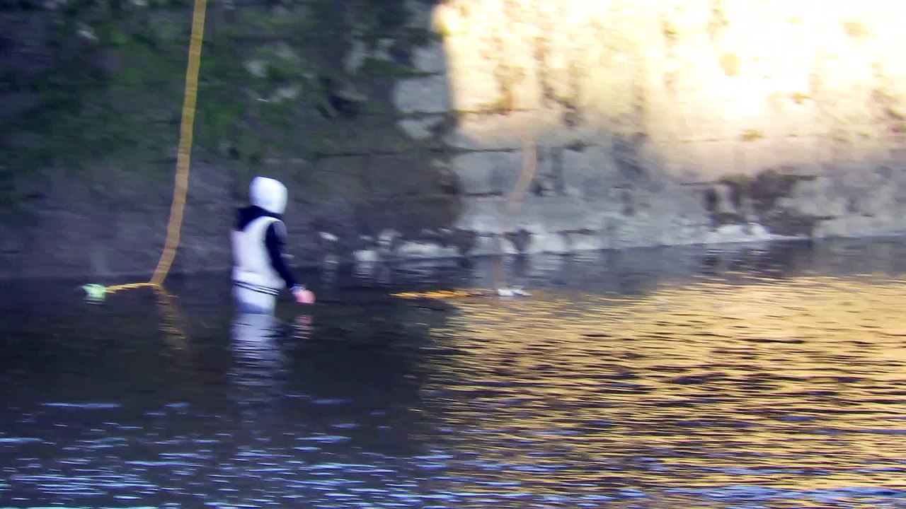 man under the bridge - Limerick