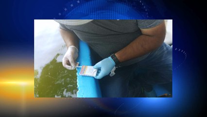 Investigan muerte de peces en laguna Los Micos de Tela