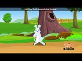 Here is a Bunny  - Nursery Rhyme with Lyrics & Sing Along