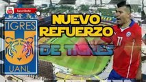 BOMBAZO DE TIGRES ¿OTRO CHILENO  45 MILLONES POR JIMENEZ   LOBOS BUAP BUSCA A URUGUAYO