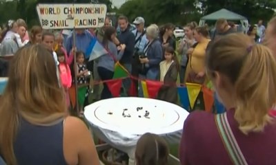 Perlombaan Tahunan Balap Siput Dunia Digelar di Inggris