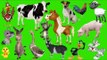 Learn Farm Animals Names and Sounds | Animals on the Farm for Kids - Fun Toddler Learn Animals