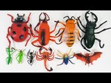 Insects Toys for Children | Toys to Real Life Insects Animals for Kids | Toddler Fun Learn Animal