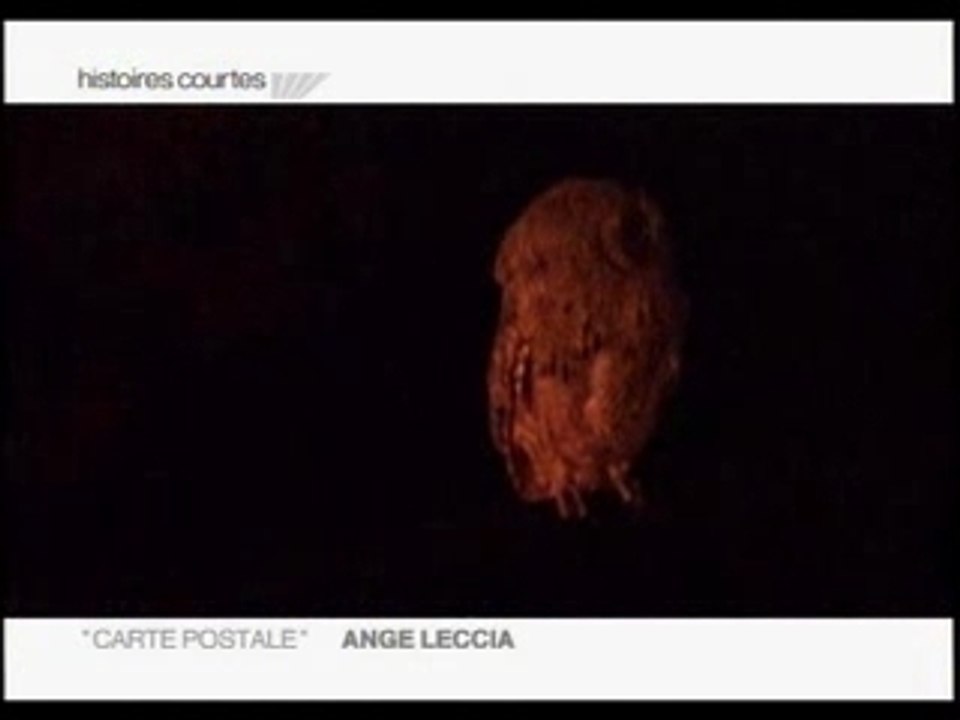 Carte postale, (ange leccia),