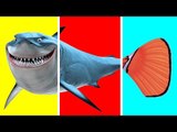 Sea Animals with Wrong Body | Disney Pixar Finding Dory Nemo Cartoon For Kids