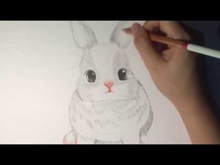 How to Draw a Rabbit: Snowball cartoon, Step-by-Step