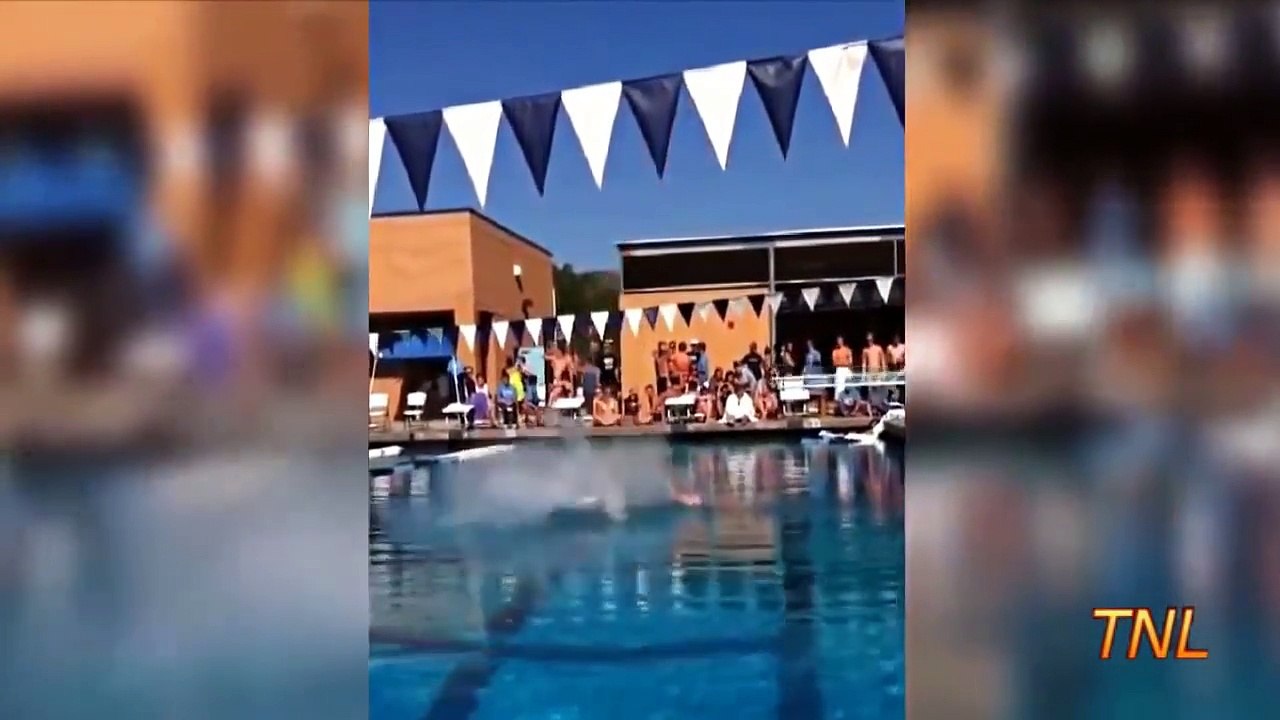 Funny videos 2017 - Try not to laugh (Challenge)