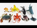 Learn Sea Animals Names and Sounds | Toys to Real Life Animal for Kids | Fun Toddler Learn Animal