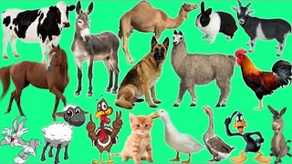 Farm Animals Names and Sound for Kids | Nursery Rhymes Farmees | Fun Toddler Learn Animal