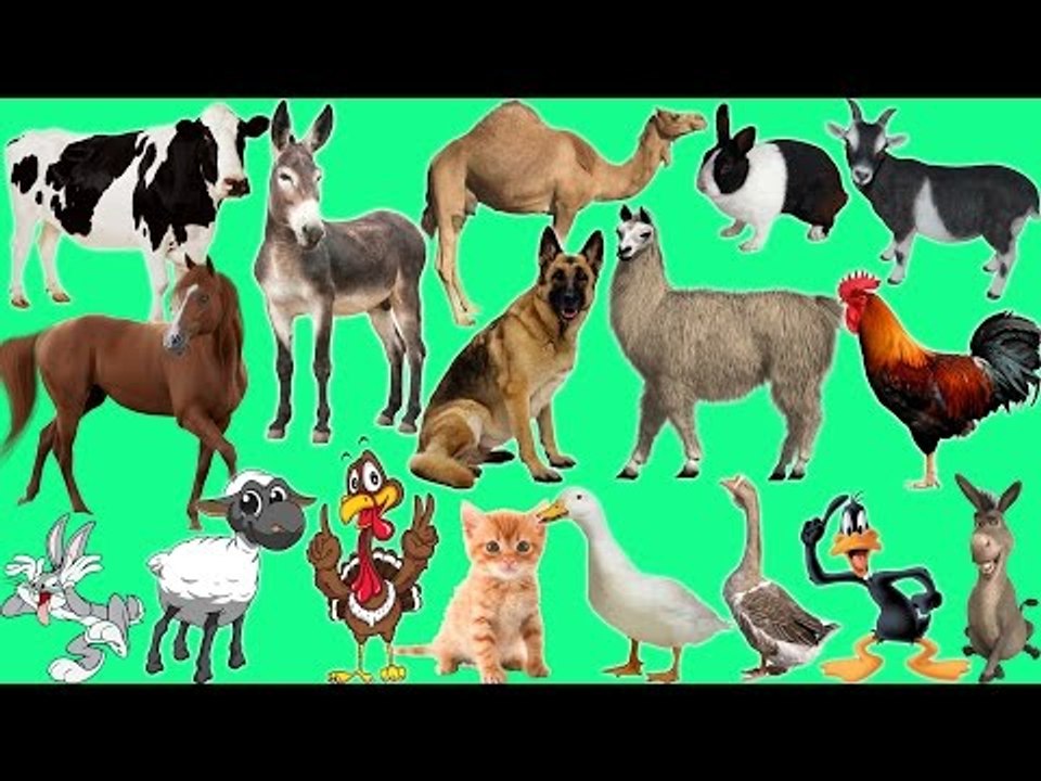 Farm Animals Names and Sound for Kids | Nursery Rhymes Farmees | Fun Toddler Learn Animal