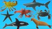 Learn Sea Animals Names with Toys | Sea Animals for Children | Fun Toddler Learn Animal