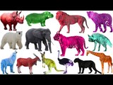 Learn Colors with Wild Animals | Wild Animals Names and Sounds | Education Video for Kids