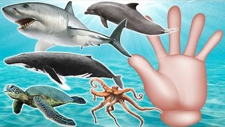 Sea Animals Finger Family Nursery Rhymes | Sea Animals for Kids | Fun Toddler