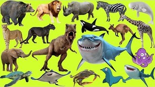 Learn Animals for Kids | Sea Animals | Wild Animals | Farm Animals | Dinosaurs for Kids - 50 MIN